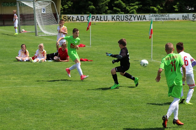 这未必全是 这未必全是