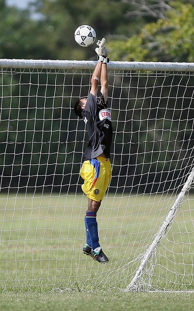 赛竞争的激 赛竞争的激