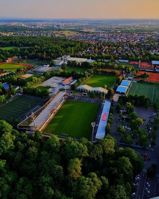 球员凯文 球员凯文