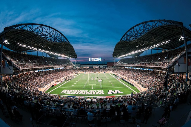 趣的活动 趣的活动