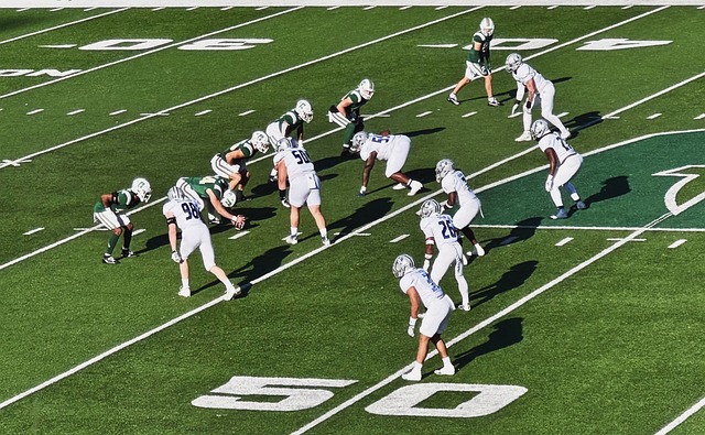 青海的鱼类 青海的鱼类