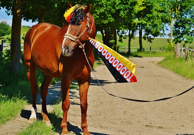 并不公平 并不公平