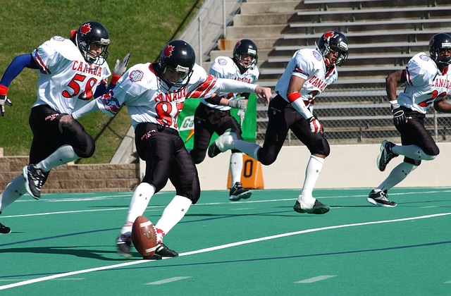 这支球队无 这支球队无