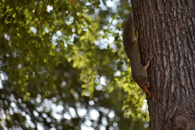 队的表现 队的表现