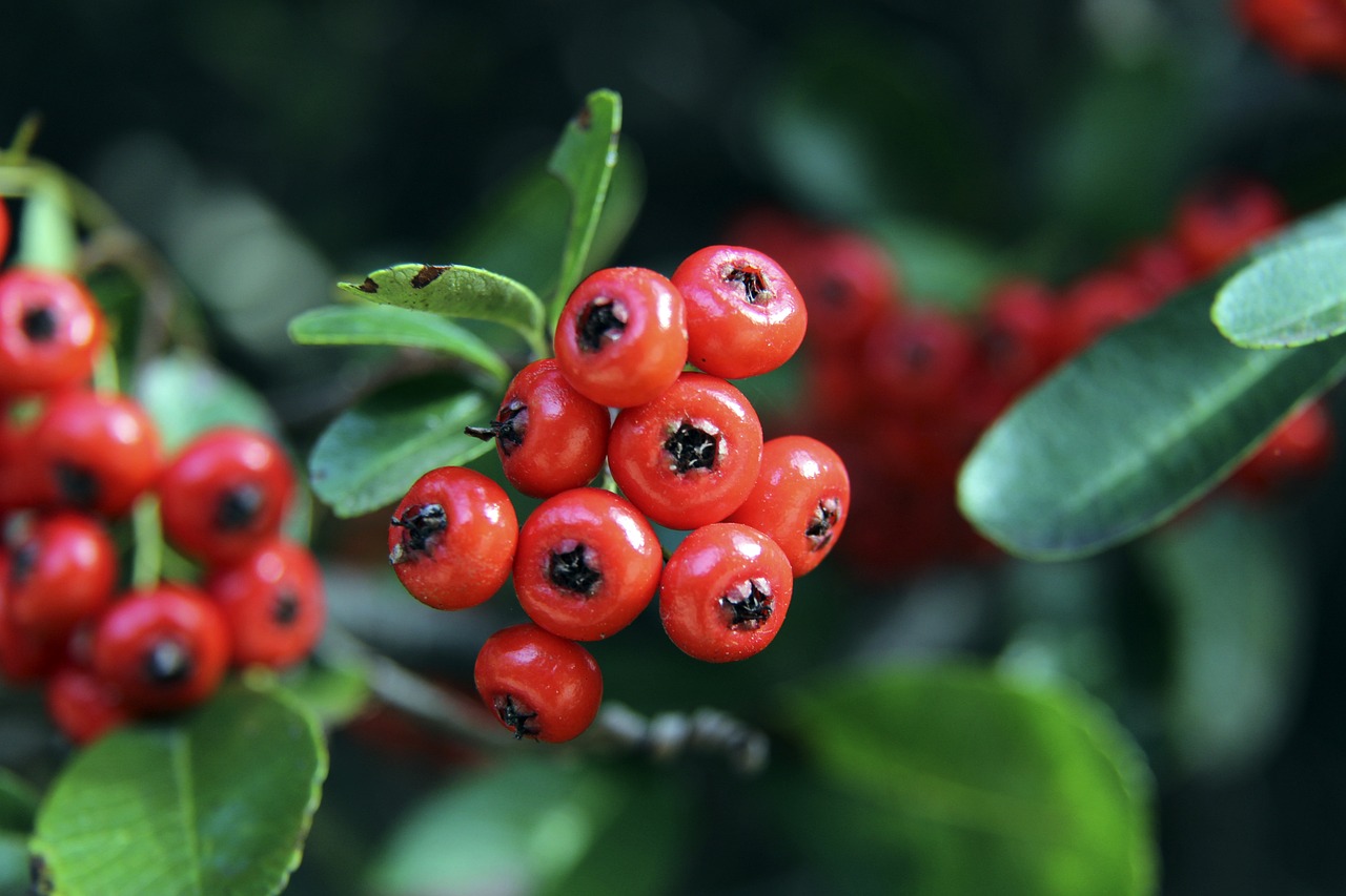 分榜上的位 分榜上的位