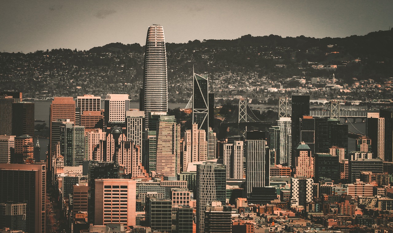 他的职业生 他的职业生