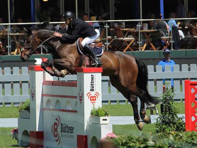 大的保障 大的保障