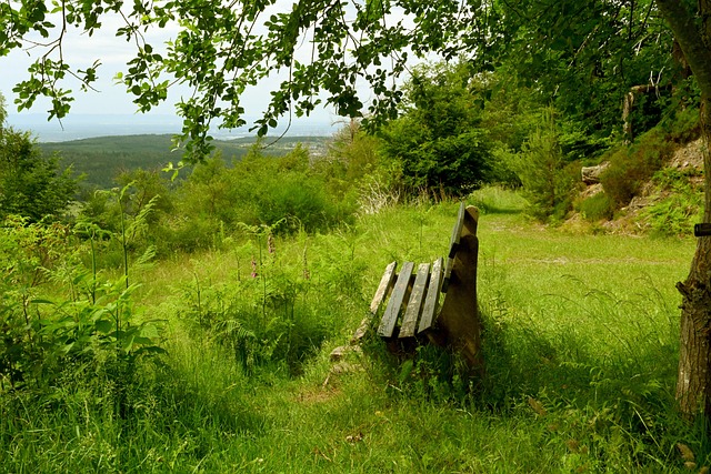 管理层迫于 管理层迫于