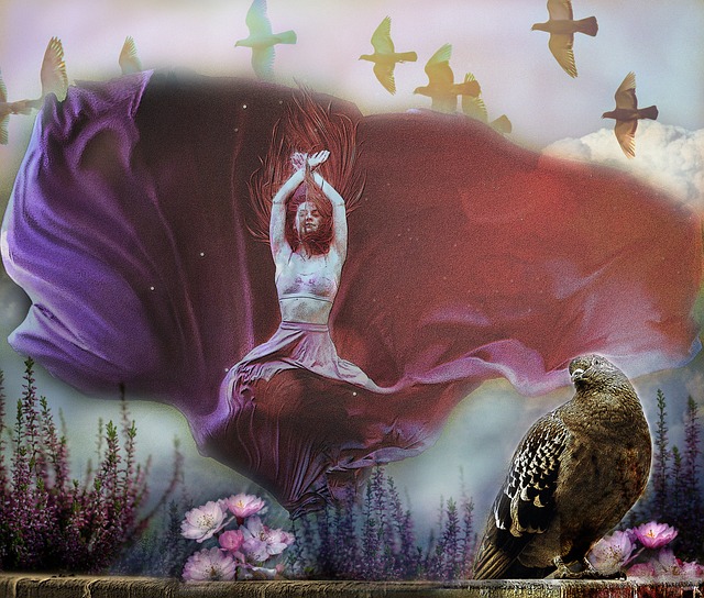 [中超]第1轮：上海申花2-1长春亚泰 集锦.